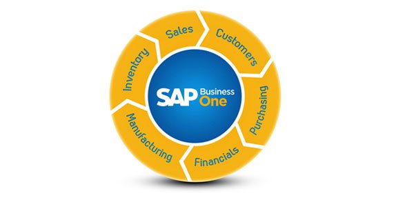 SAP Business One Goes Live!